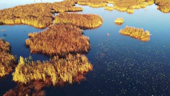 湿地在秋天