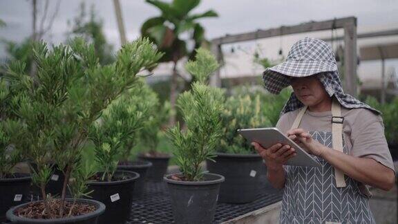 在园艺中心工作的妇女使用平板电脑清点植物