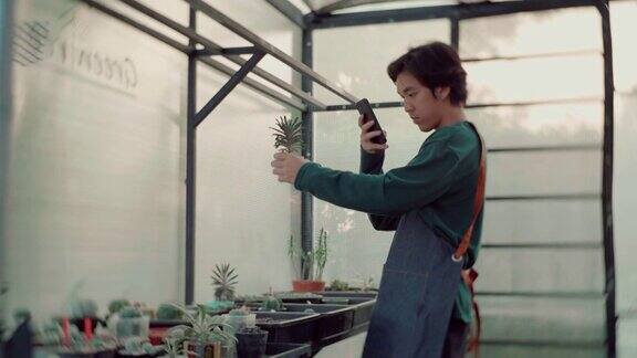 亚洲人拍照的植物和检查