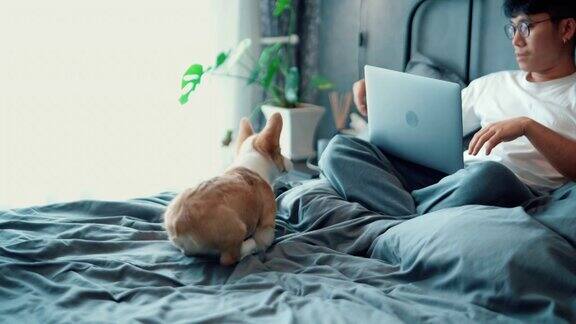 男人和狗狗坐在床上玩社交媒体