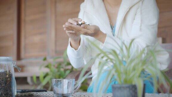 亚洲妇女采摘干茶叶的手和闻到香气的茶在客厅在早上休息时间在家
