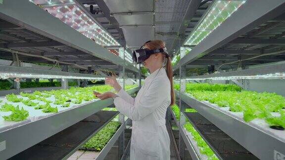 现代女性微生物学家使用虚拟现实眼镜来控制和控制现代农场的气候以种植生态友好的蔬菜