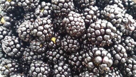 黑莓成熟的背景下