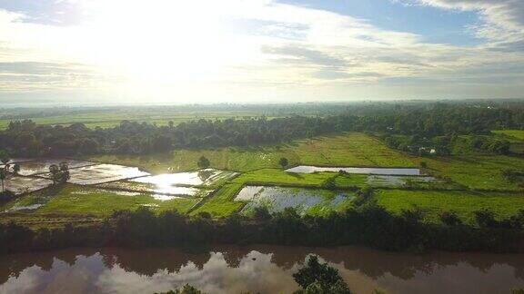 航拍泰国稻田、河流和森林附近的乡村景观