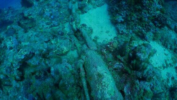 废弃的船锚损坏海底珊瑚礁