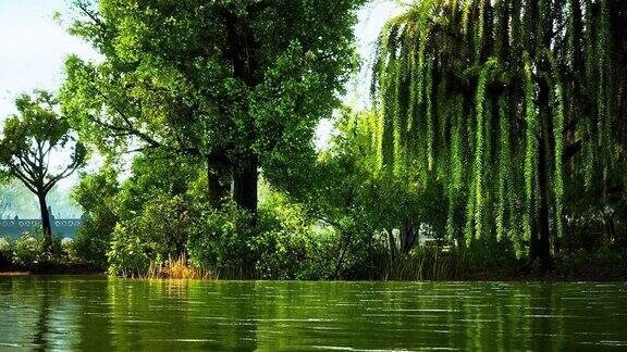 城市公园里的绿树和阳光下的沼泽