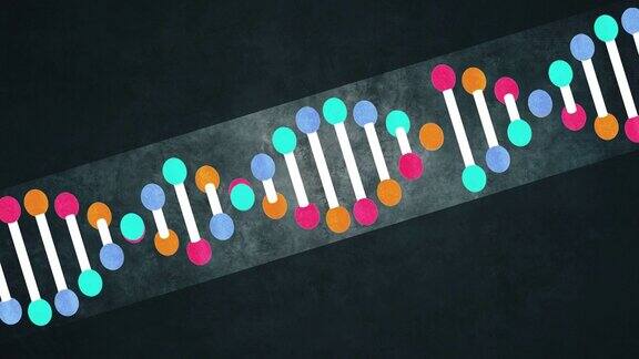 基因DNA结构可循环