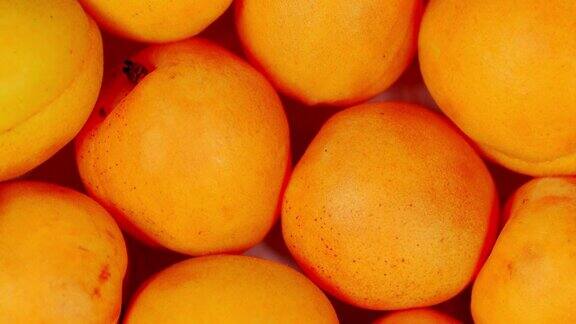 杏的背景收获收集新鲜的水果