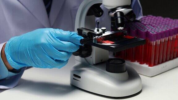 实验室助理医学科学家化学研究员拿着一根玻璃管穿过血液样本做化学实验检查病人的血液样本医学和研究概念