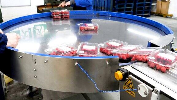 在现代农业工厂水果农场工人对收获的草莓进行分类和包装