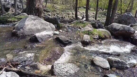 一条小溪在狂风暴雨中从山上流下穿过森林绕过河道里的石头