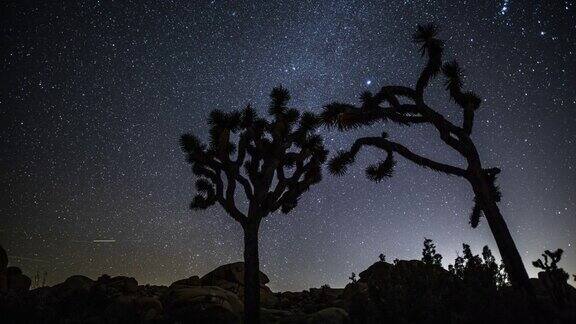 时光流逝:沙漠与乔舒亚树在夜间跟踪拍摄
