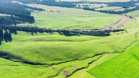 新疆那拉提草原绿色草地景观的航拍镜头