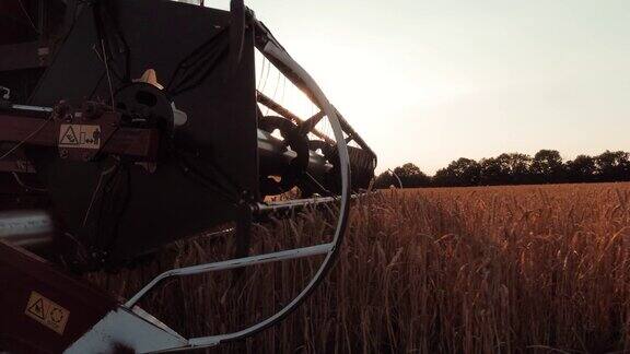小麦收成小麦收获剪近距离拍摄夏日夕阳下的农田里收割机正在收割金黄色的熟麦农业粮食生产产业