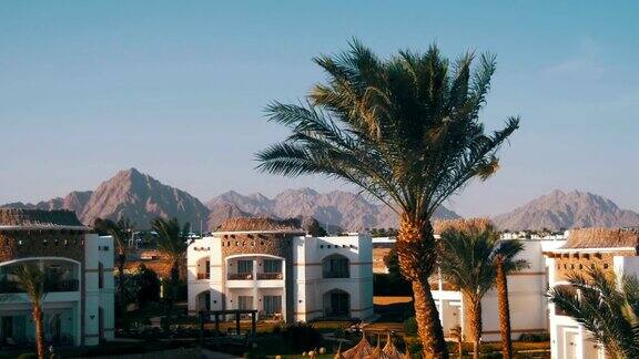 阳光度假酒店与蓝色的游泳池棕榈树和日光浴床在埃及