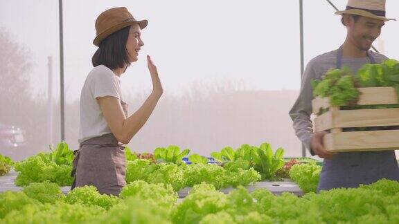 两个亚洲夫妇农民在蔬菜水培农场工作幸福女人提着一盒新鲜蔬菜沙拉递给男人然后走着把它储存在温室农场里
