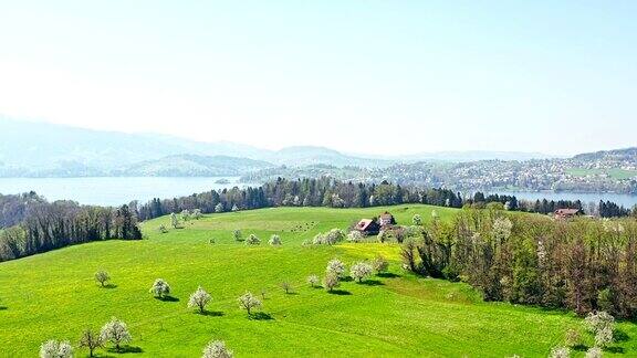 春天的风景瑞士瑞士