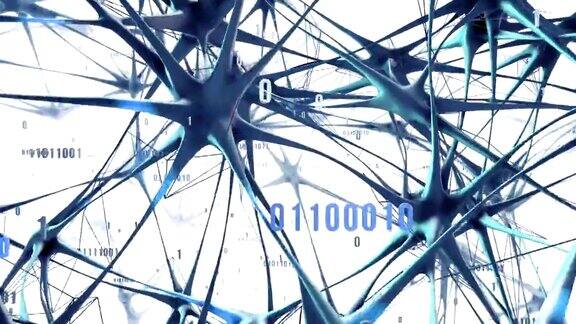 高度详细的神经网络人工智能(白蓝)-回路