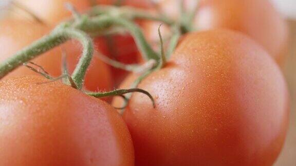 微距拍摄的新鲜有机红番茄与水滴