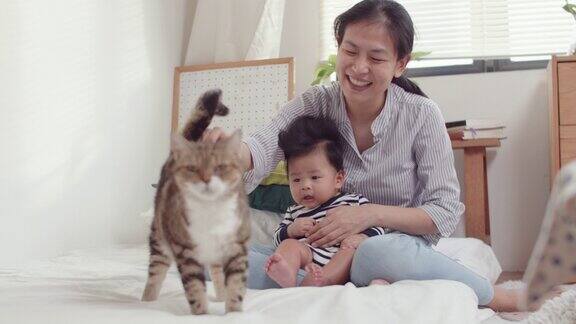 亚洲母亲和儿子在卧室里爱抚家猫