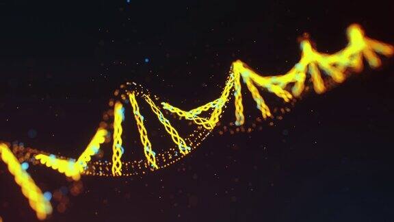DNA结构的背景