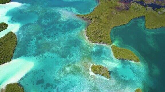 鸟瞰图红树林之间的珊瑚礁和浅蓝的水域在加勒比海