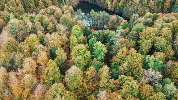 秋天森林里的湖
