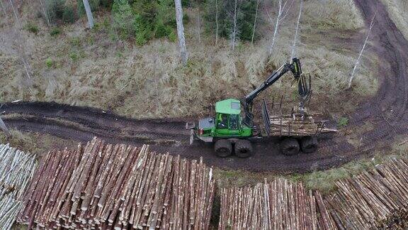 鸟瞰图森林采伐区在森林里工作的伐木工人林业和木材工业森林砍伐空中射击拖拉机把木材储存起来在Timberland的工作过程美丽的股票在Timberland