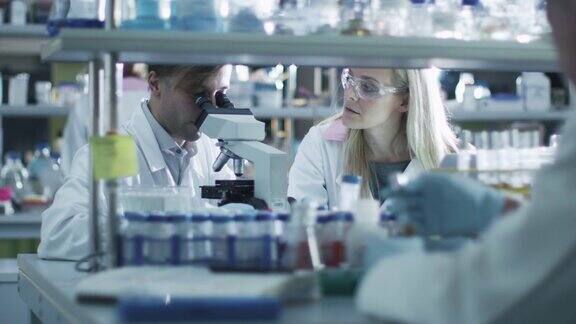 男女科学家都在实验室里用显微镜工作