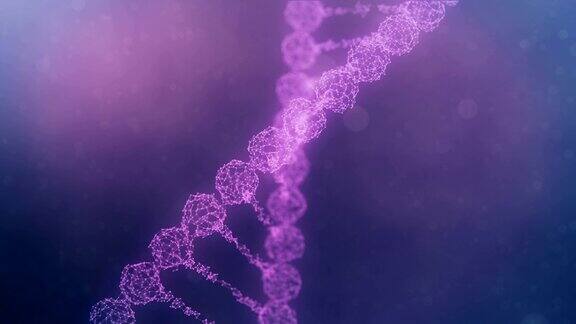 组装和散射一个旋转丛DNA链-紫色版本