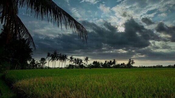 巴厘岛稻田上空阴天日落的延时视频