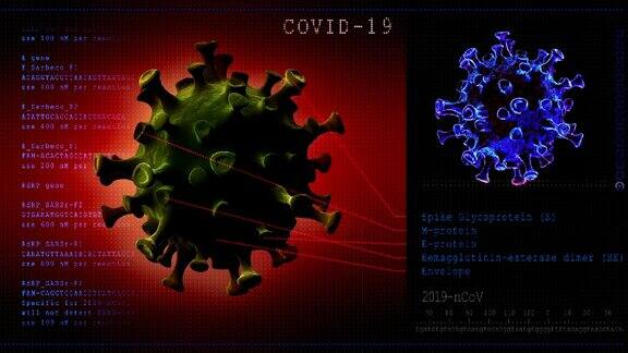冠状病毒疾病三维模型COVID-19