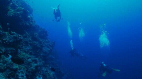 菲律宾阿波礁珊瑚礁潜水(4K)
