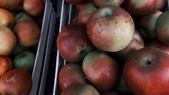 从市场上的仓库木盒子里的绿苹果和红苹果的4k镜头