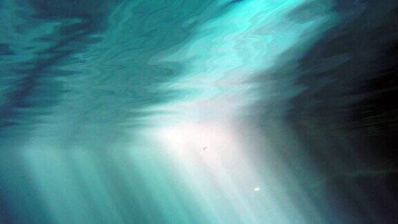在太平洋明亮的光线下潜水
