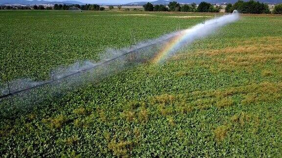 利用大型喷灌系统对农田进行飞行灌溉