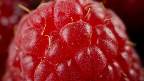 微距拍摄覆盆子水果常用于果酱糖浆和果冻树莓含有大量的维生素c和利尿功能