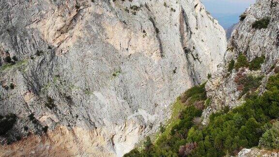 鸟瞰图登山队伍站在峡谷瀑布交叉同时观看森林峡谷的美丽风景