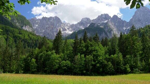 特里格拉夫国家公园斯洛文尼亚朱利安阿尔卑斯山脉的草地松林和积雪的特里格拉夫山蓝天多云晴天明媚替身拍摄4k