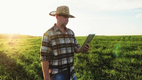 智能农业技术农民在农田里使用数码平板电脑企业主在田里找平板电脑概念现代技术在农业种植活动中的应用