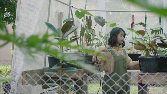 一位年轻的亚洲妇女正在照顾她的可爱的小植物