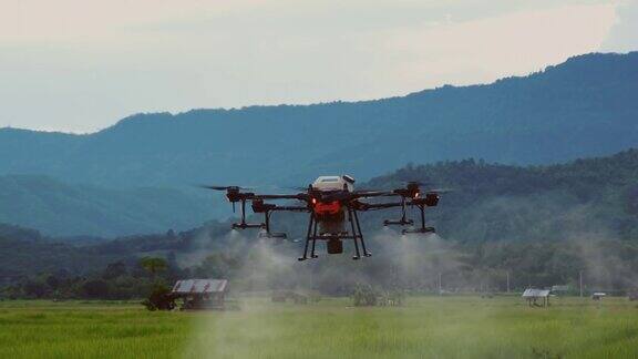 智能农业创新农业无人机飞向绿色稻田喷洒肥料