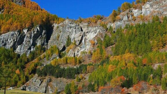 瀑布在五彩林地秋天在阿尔卑斯山