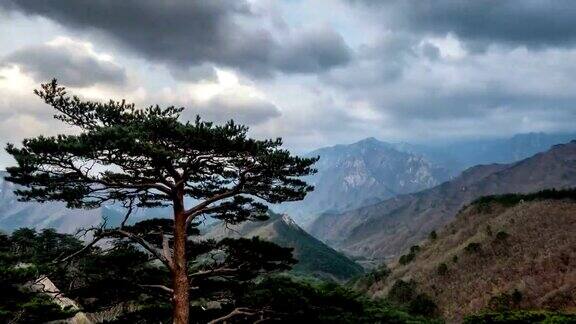 树和悬崖的时间流逝雪山国家公园韩国