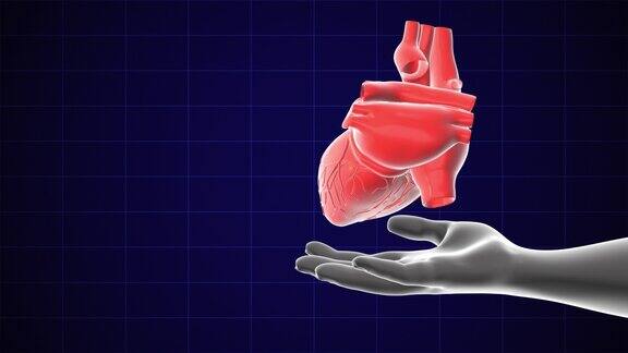 手握旋转心脏的医学概念