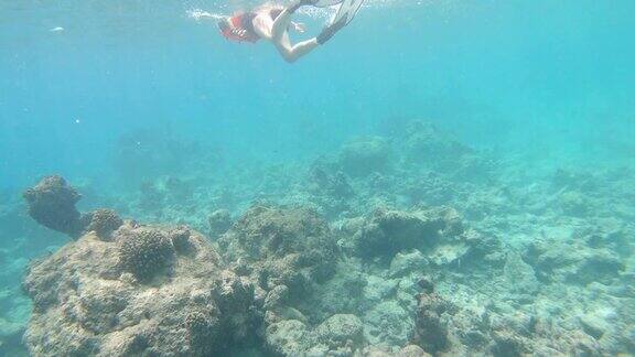 年轻女子浮潜在天堂般的海洋在马尔代夫