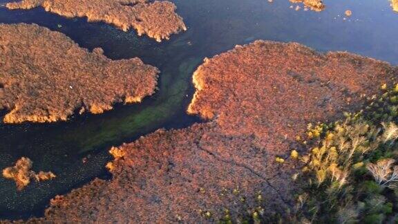湿地在秋天