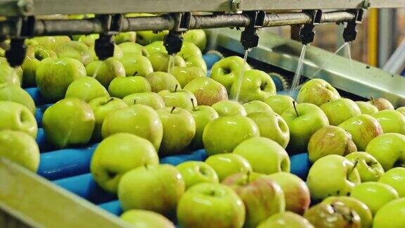 自动清洗成熟的苹果