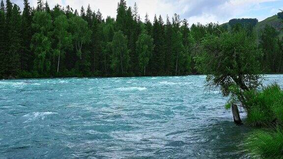 新疆流淌的河流和绿色的森林