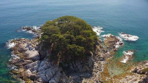 被海浪冲刷的岩石岛被针叶树覆盖在海湾